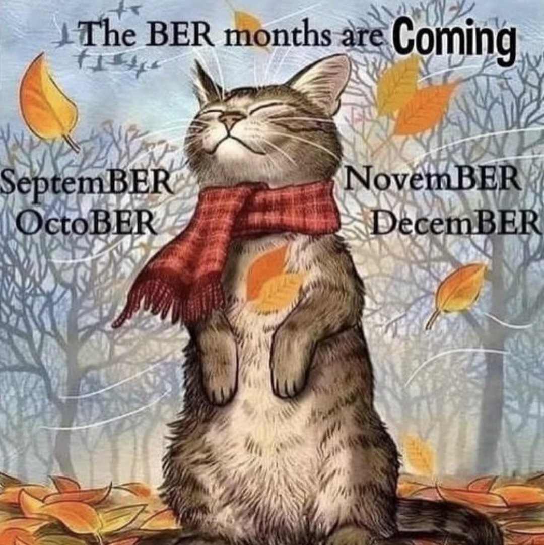 Ber Months Meme