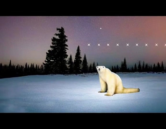 Remember November 2026 Is Coming (Polar Bear)