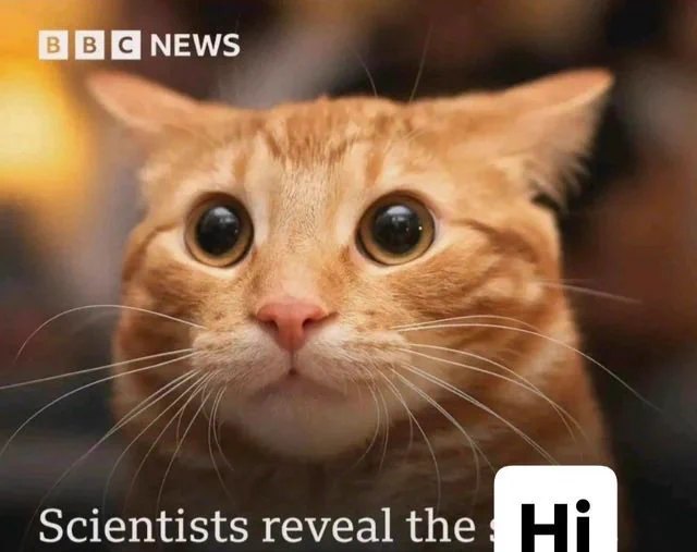 Scientists Reveal the Hi (Cat Meme)